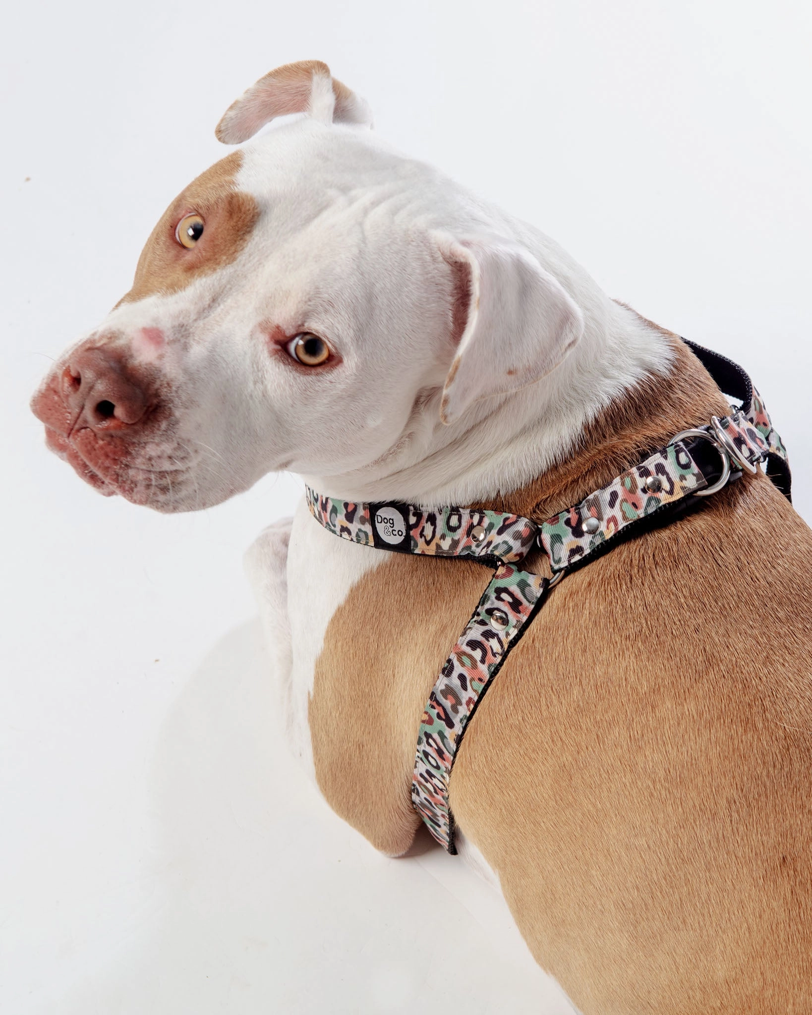Step-In Dog Harness in Camo Leopard (Made in NYC)