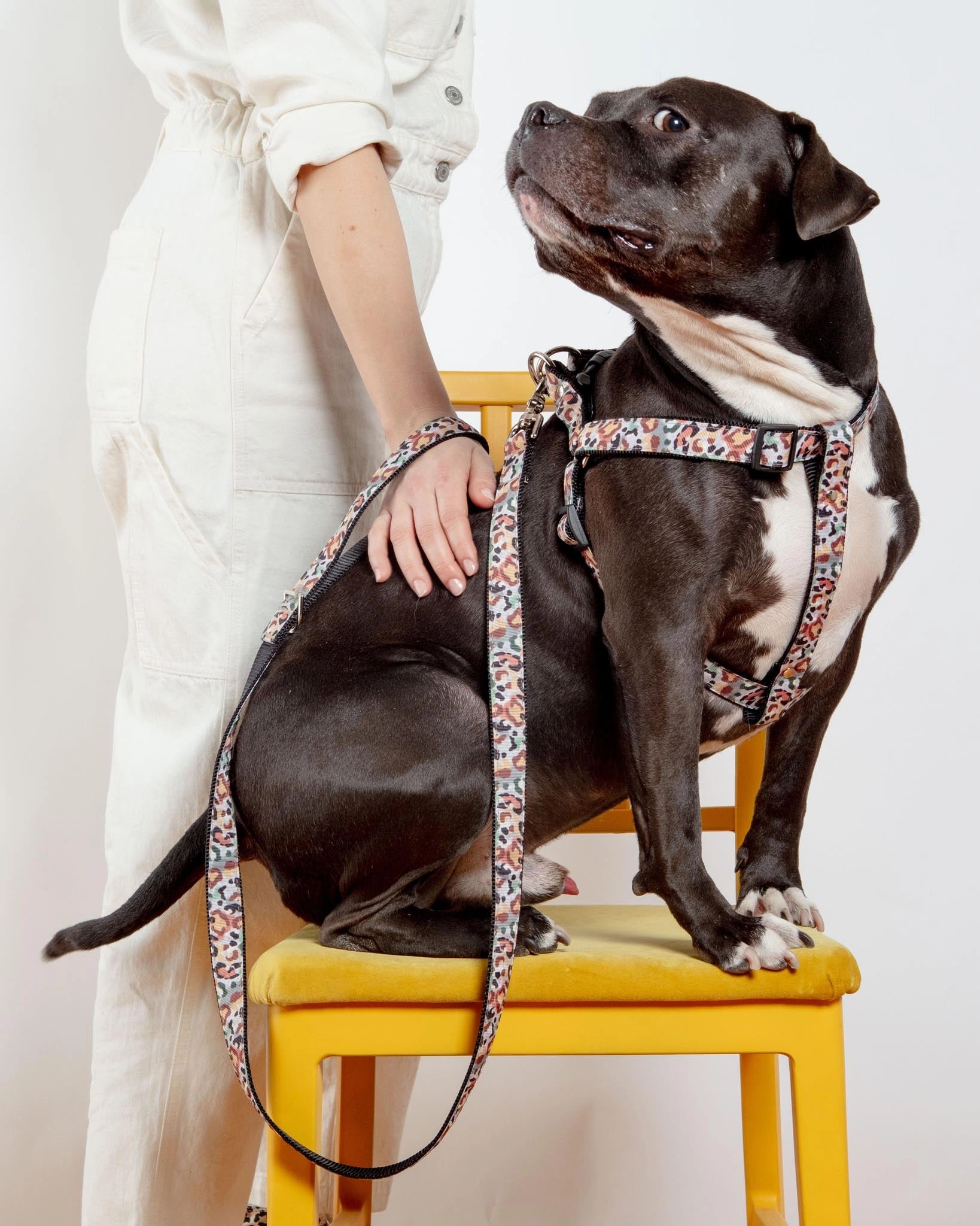 Step-In Dog Harness in Camo Leopard (Made in NYC)