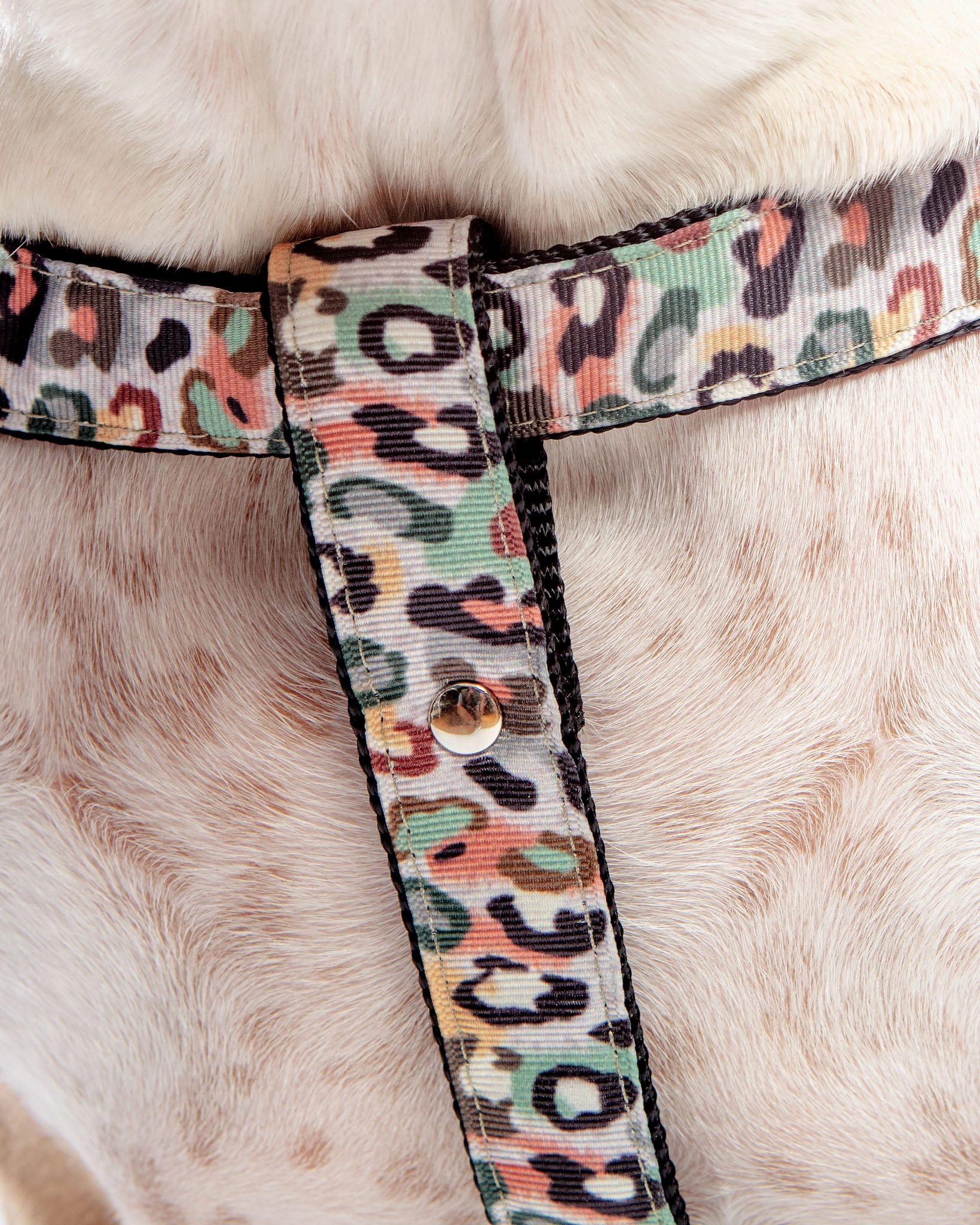 Step-In Dog Harness in Camo Leopard (Made in NYC)