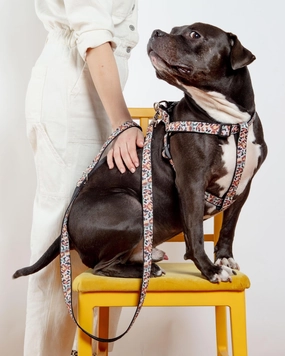 Step-In Dog Harness in Camo Leopard (Made in NYC)