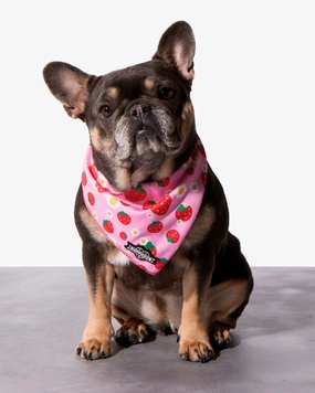 Strawberry Dog Cooling Bandana