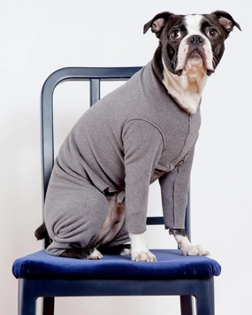 Stretch Fleece Onesie in Charcoal (Made in the USA, DOG & CO.   GOLD PAW Exclusive!)