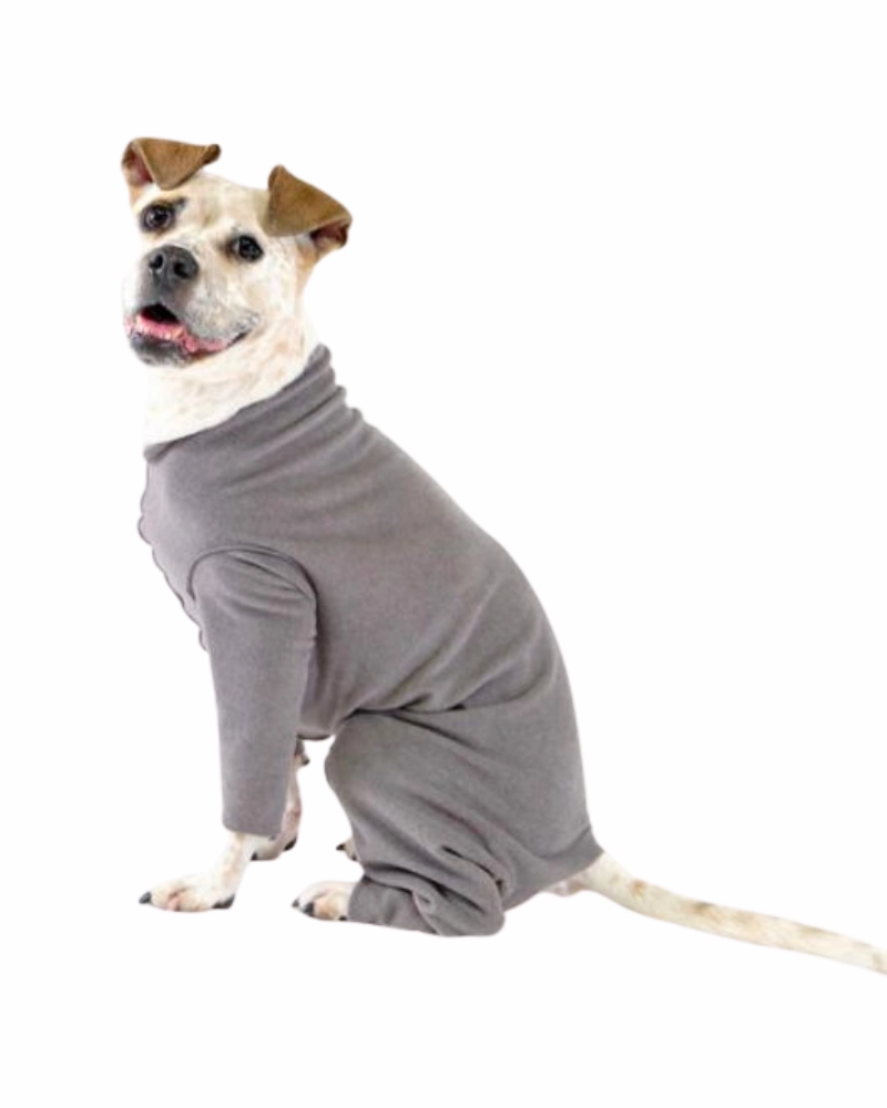Stretch Fleece Onesie in Charcoal (Made in the USA, DOG & CO.   GOLD PAW Exclusive!)