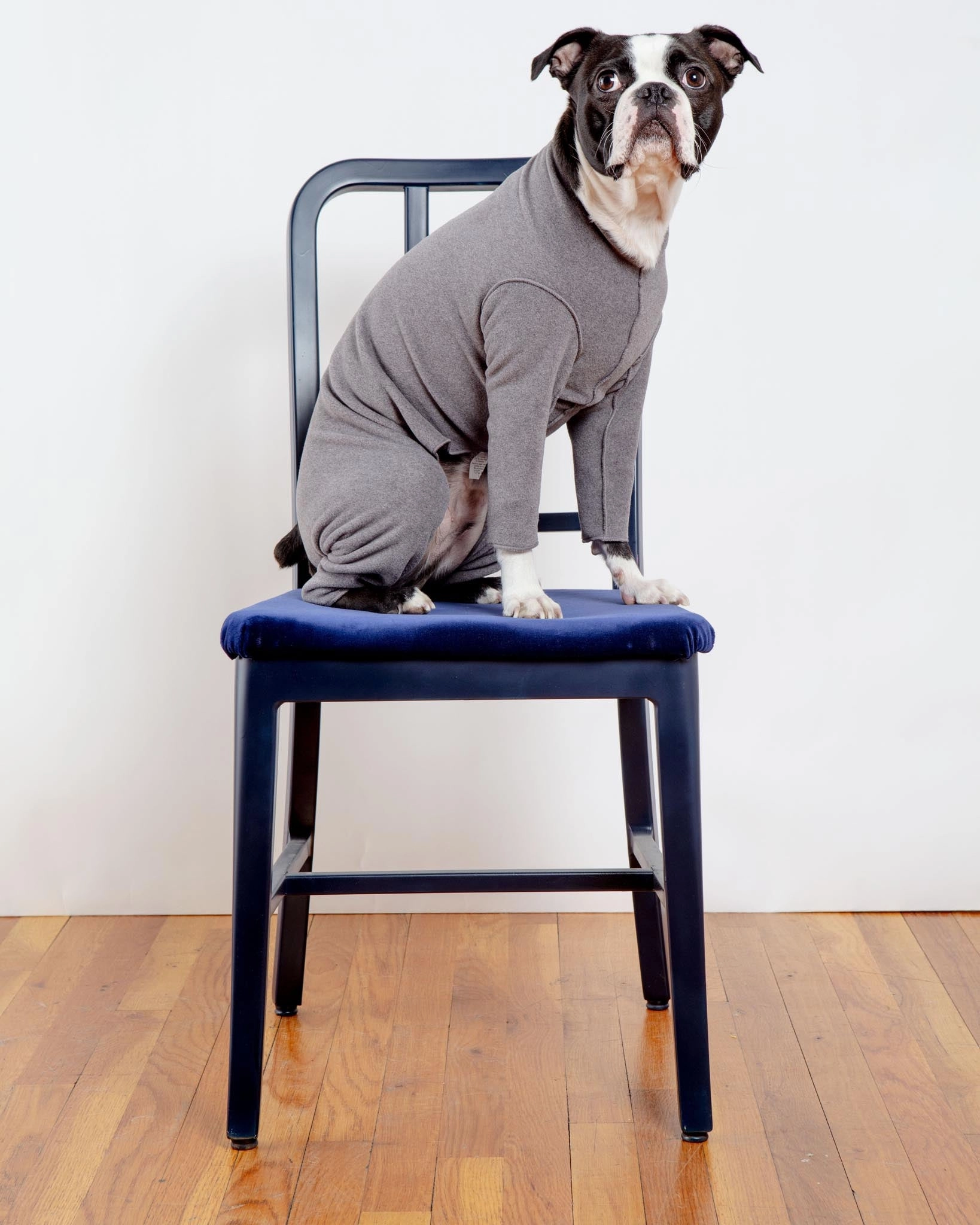 Stretch Fleece Onesie in Charcoal (Made in the USA, DOG & CO.   GOLD PAW Exclusive!)