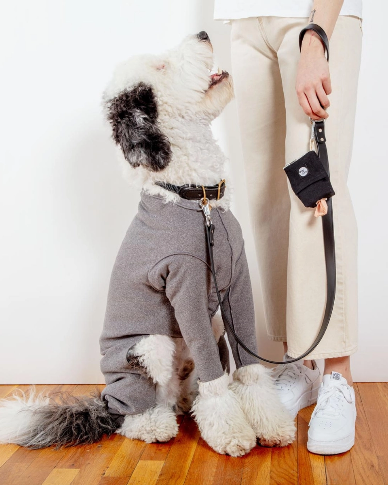 Stretch Fleece Onesie in Charcoal (Made in the USA, DOG & CO.   GOLD PAW Exclusive!)