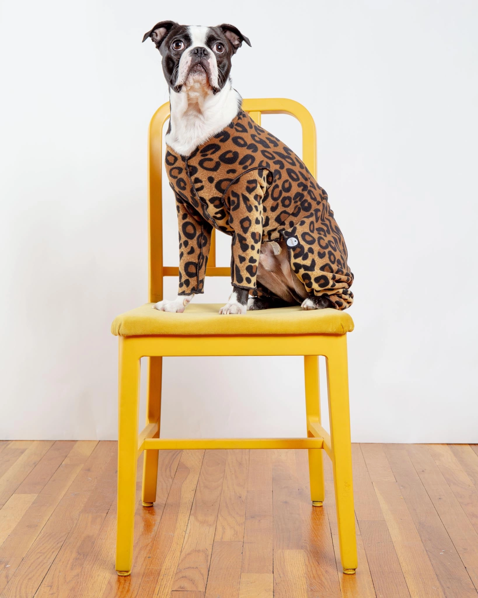 Stretch Fleece Onesie in Leopard (Made in the USA, DOG & CO.   GOLD PAW Exclusive!)