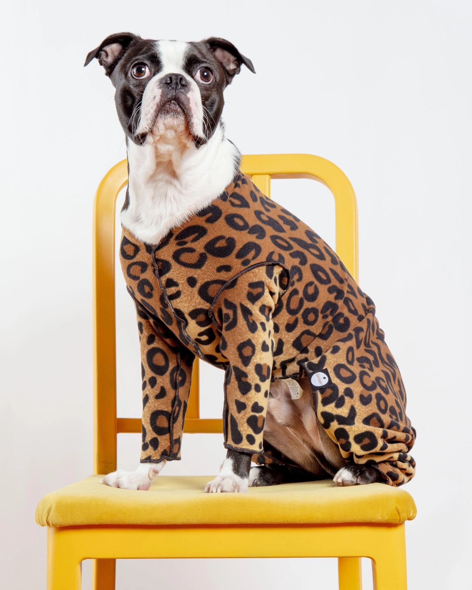 Stretch Fleece Onesie in Leopard (Made in the USA, DOG & CO.   GOLD PAW Exclusive!)