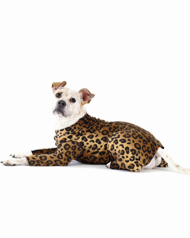 Stretch Fleece Onesie in Leopard (Made in the USA, DOG & CO.   GOLD PAW Exclusive!)