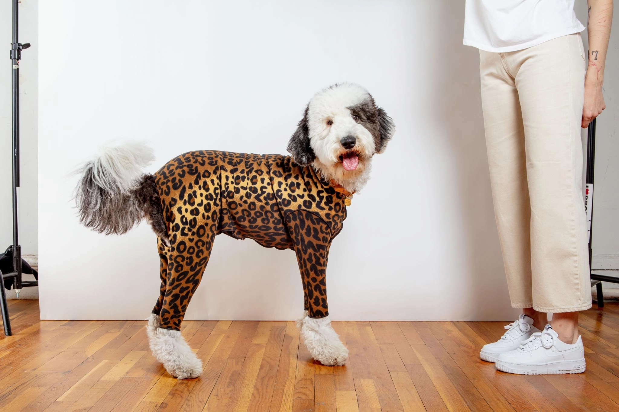 Stretch Fleece Onesie in Leopard (Made in the USA, DOG & CO.   GOLD PAW Exclusive!)