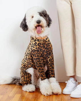 Stretch Fleece Onesie in Leopard (Made in the USA, DOG & CO.   GOLD PAW Exclusive!)