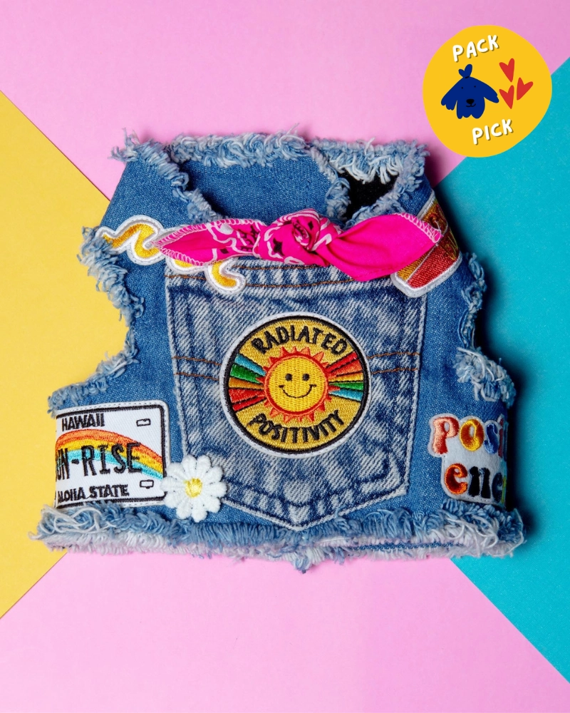 Sunshine Positivity Denim Dog Harness (Made in the USA)