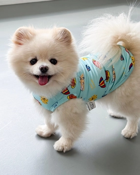 Swimming Club Dog Cooling Tee