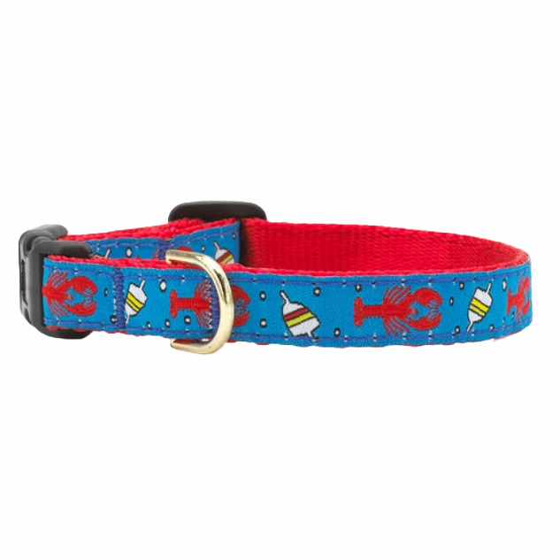 Teacup Collar | Lobster & Buoy