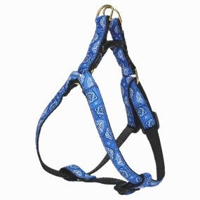 Teacup Harness | Blue Bandana