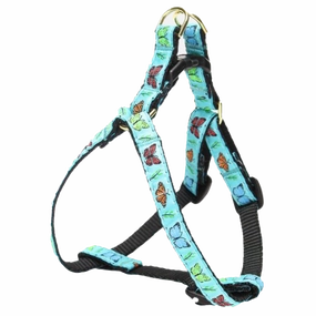 Teacup Harness | Butterfly Effect
