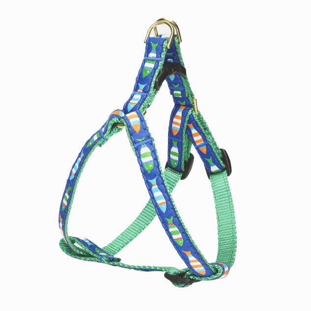 Teacup Harness | Funky Fish