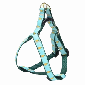 Teacup Harness | Pineapple