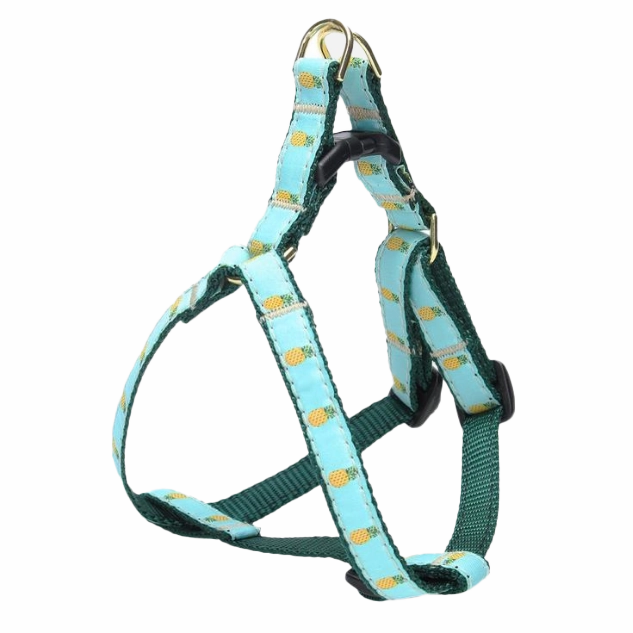Teacup Harness | Pineapple