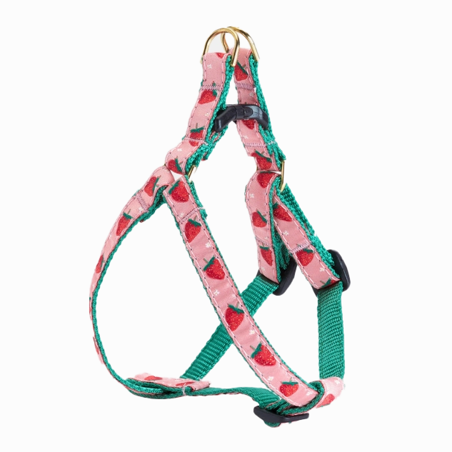 Teacup Harness | Strawberry Fields