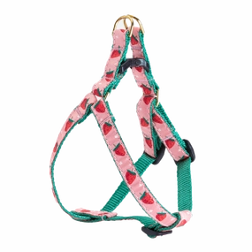 Teacup Harness | Strawberry Fields