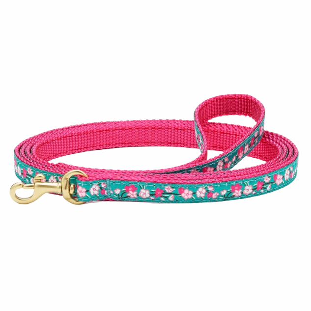 Teacup Leash | Cherry Blossom