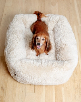 The Franklin Dog Bed in Fluffernutter (Direct-Ship)