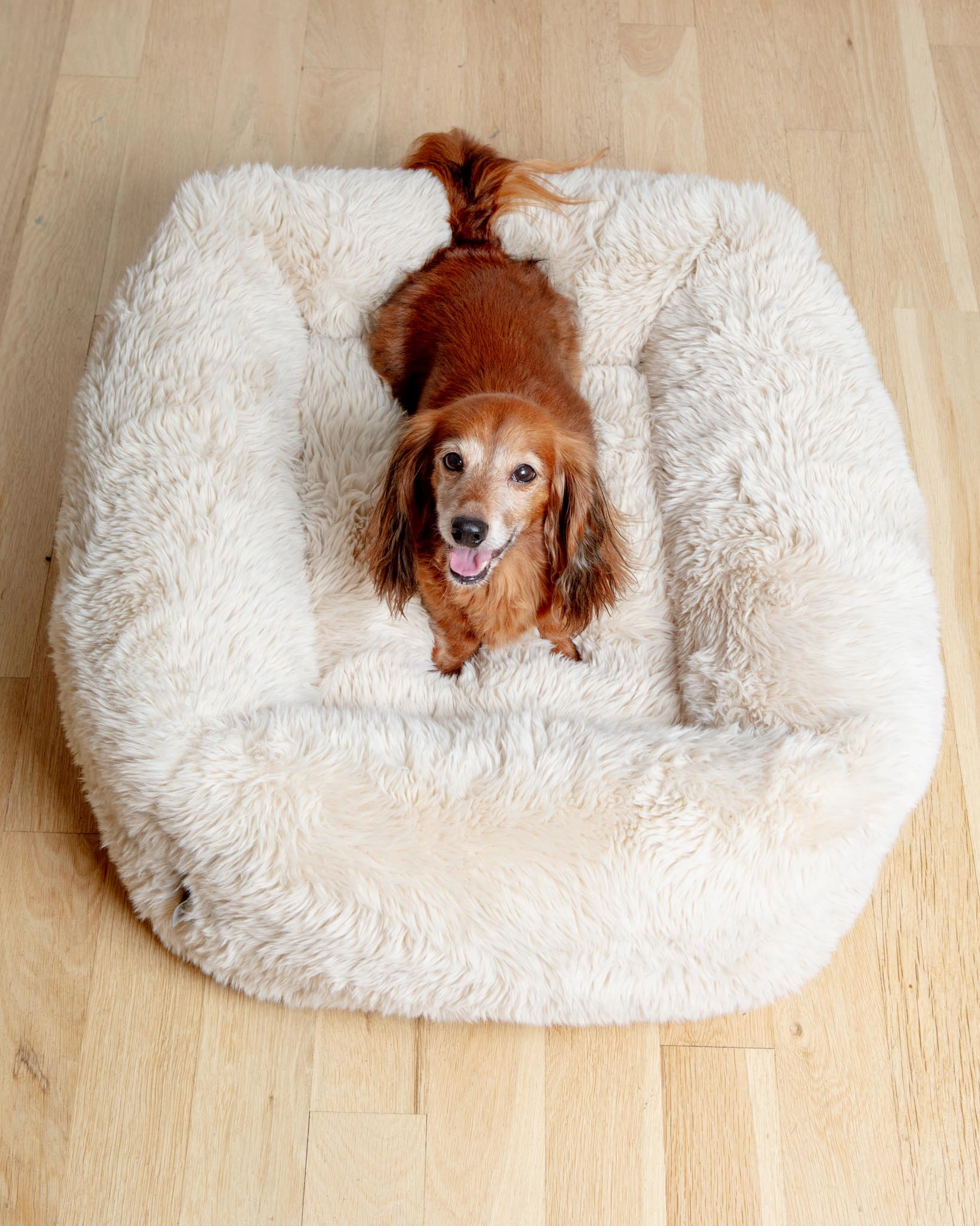 The Franklin Dog Bed in Fluffernutter (Direct-Ship)