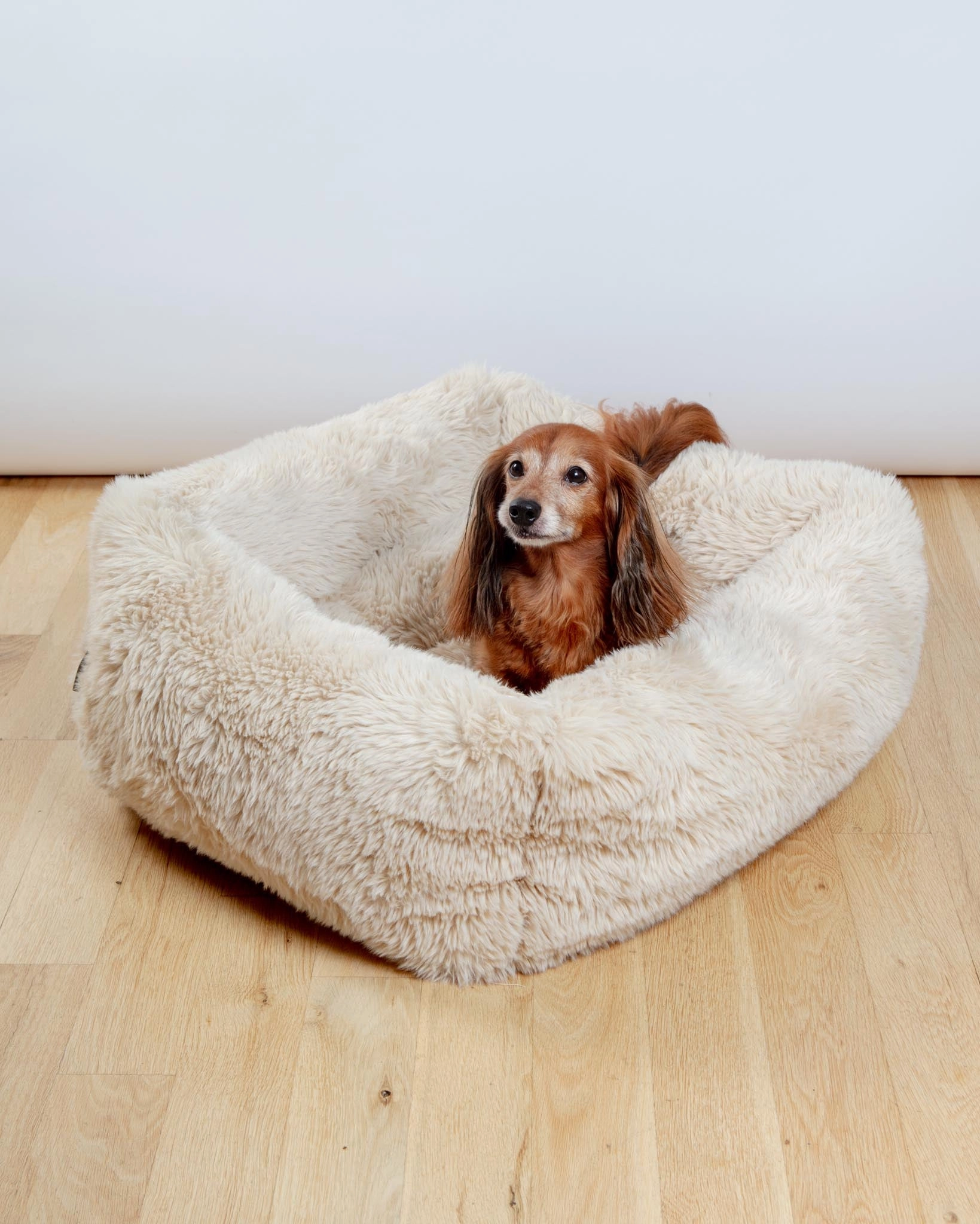 The Franklin Dog Bed in Fluffernutter (Direct-Ship)