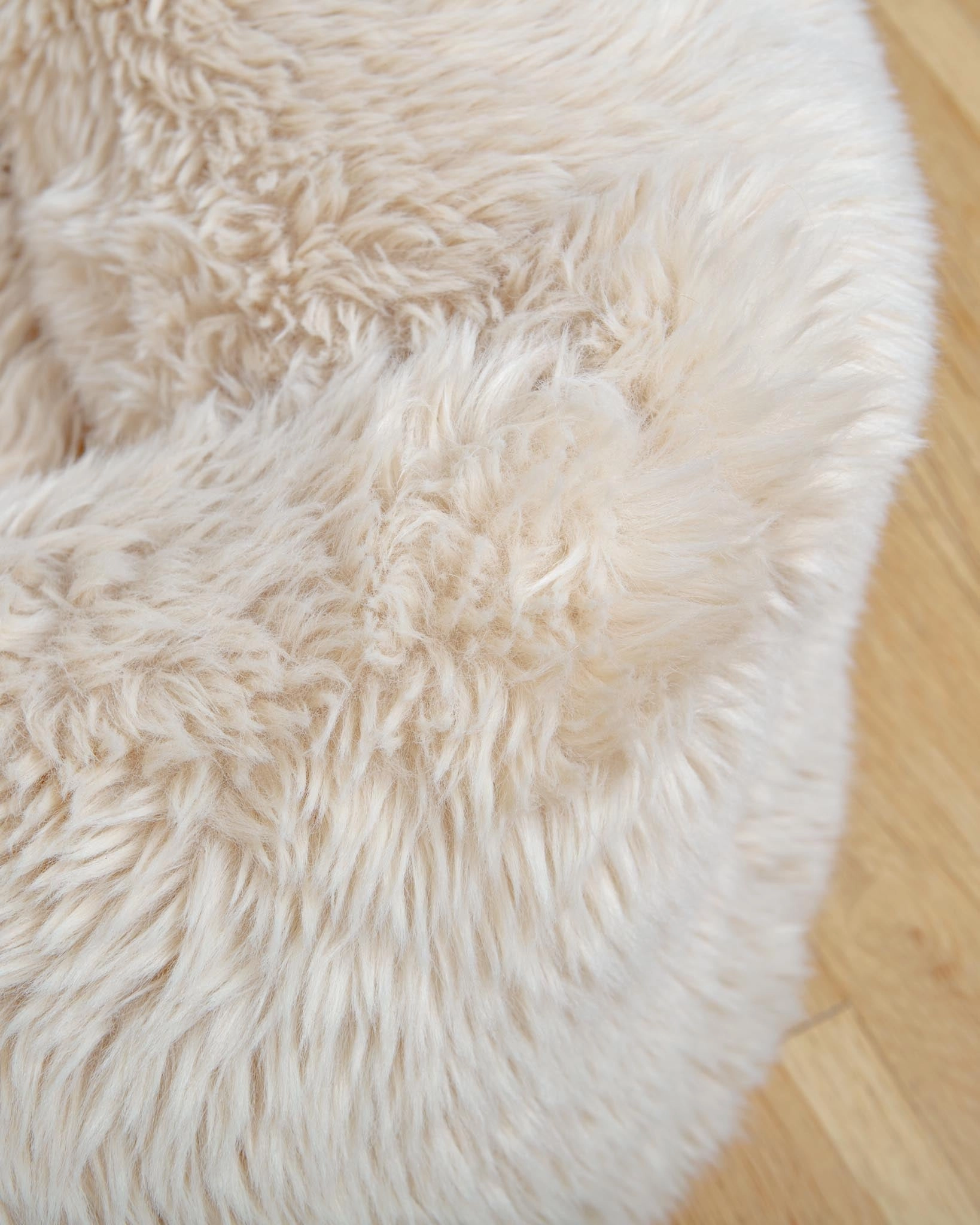 The Franklin Dog Bed in Fluffernutter (Direct-Ship)
