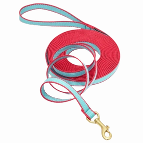 Training Leash | Aqua & Coral