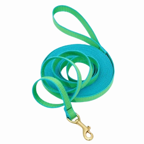 Training Leash | Lime & Aqua
