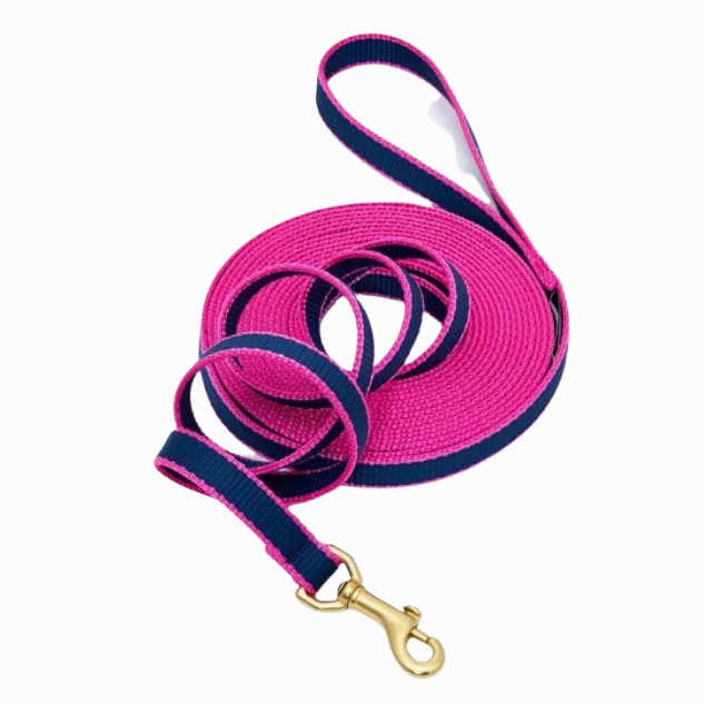 Training Leash | Navy & Pink