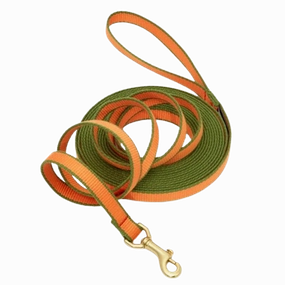 Training Leash | Tangerine & Pine