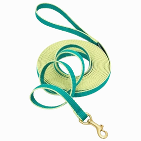 Training Leash | Teal & Yellow