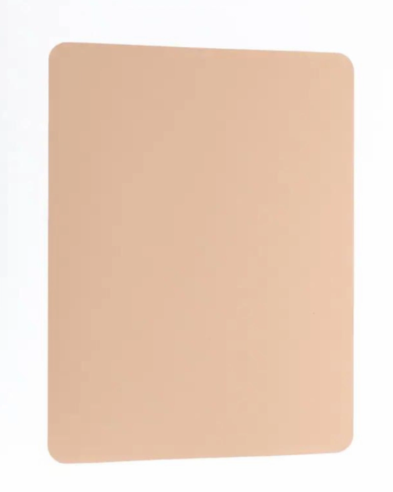 Ultra-Thin Silicone Sheet Pet Placemat