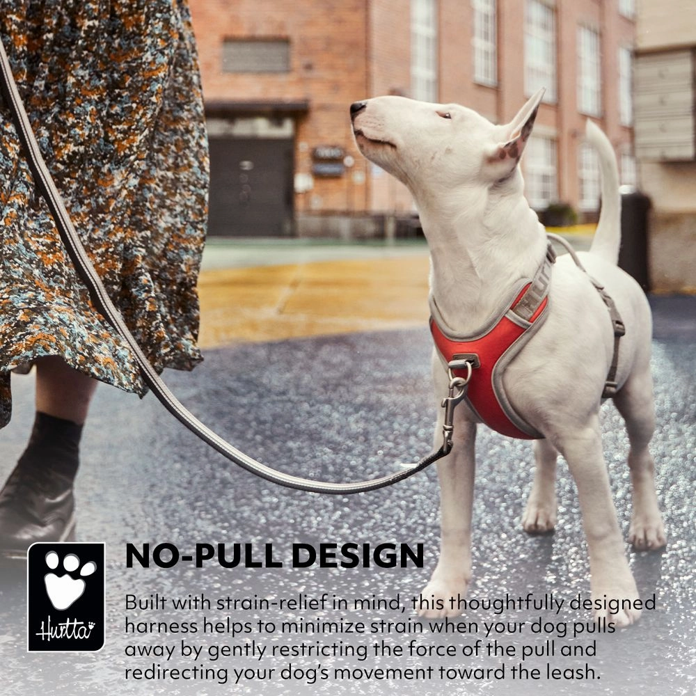 Venture No-Pull Harness | Bilberry