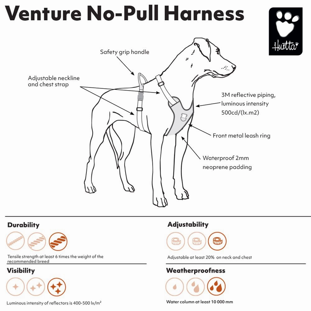 Venture No-Pull Harness | Bilberry