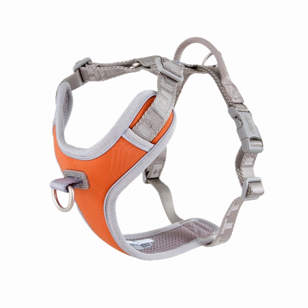 Venture No-Pull Harness | Buckthorn