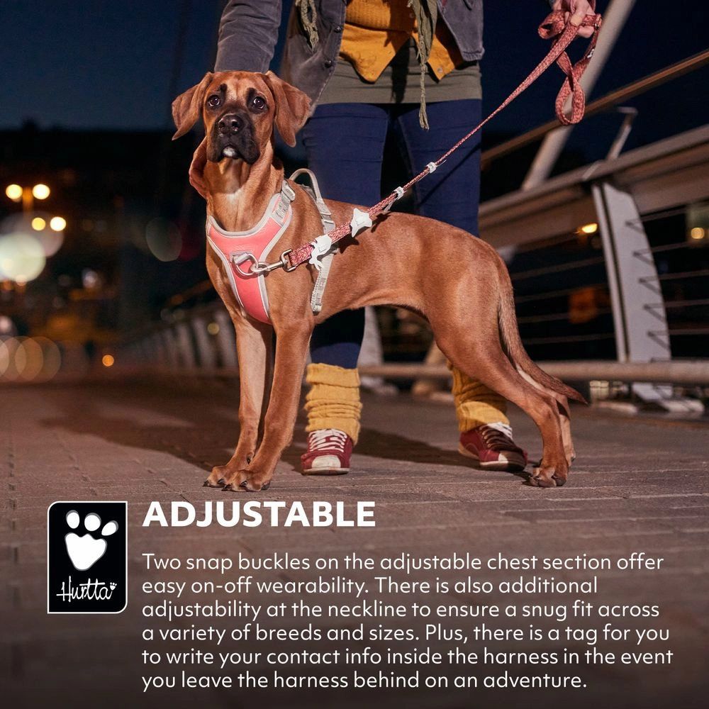 Venture No-Pull Harness | Buckthorn