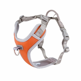 Venture No-Pull Harness | Buckthorn