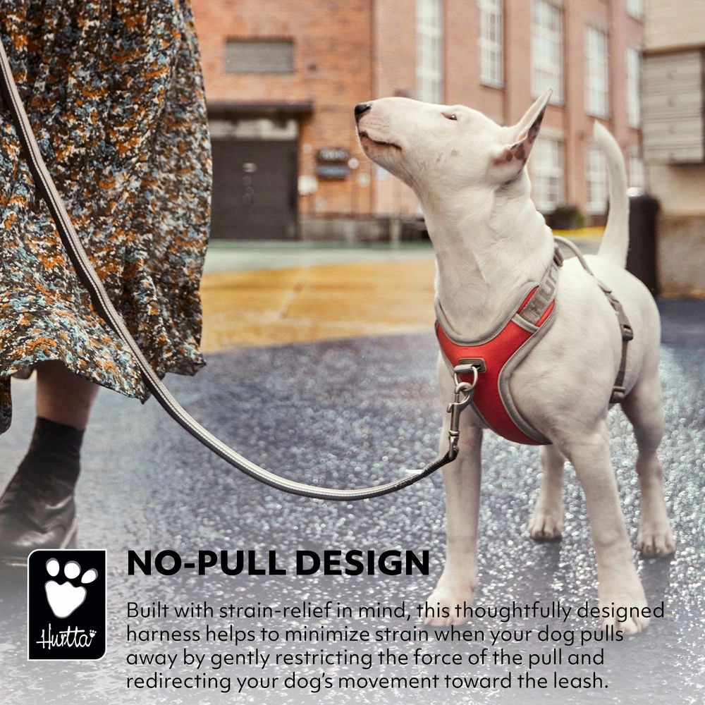 Venture No-Pull Harness | Buckthorn
