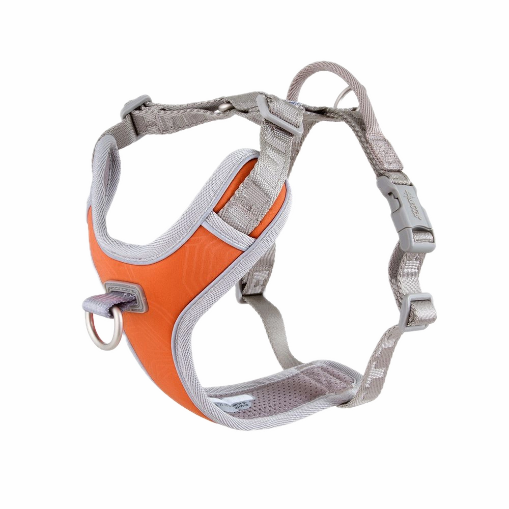 Venture No-Pull Harness | Buckthorn