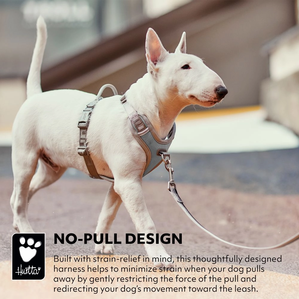 Venture No-Pull Harness | Coral