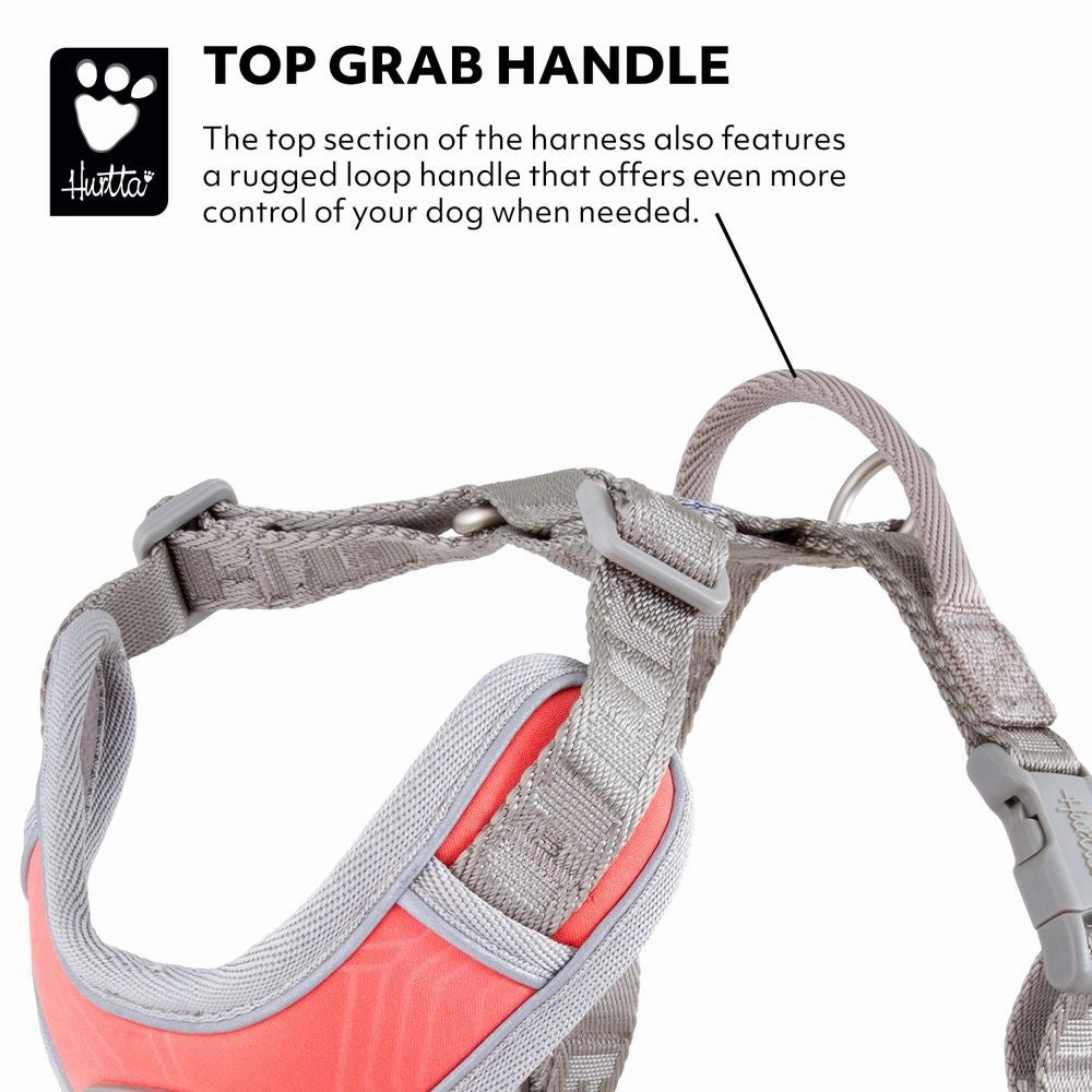 Venture No-Pull Harness | Coral