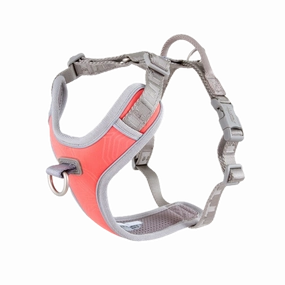 Venture No-Pull Harness | Coral