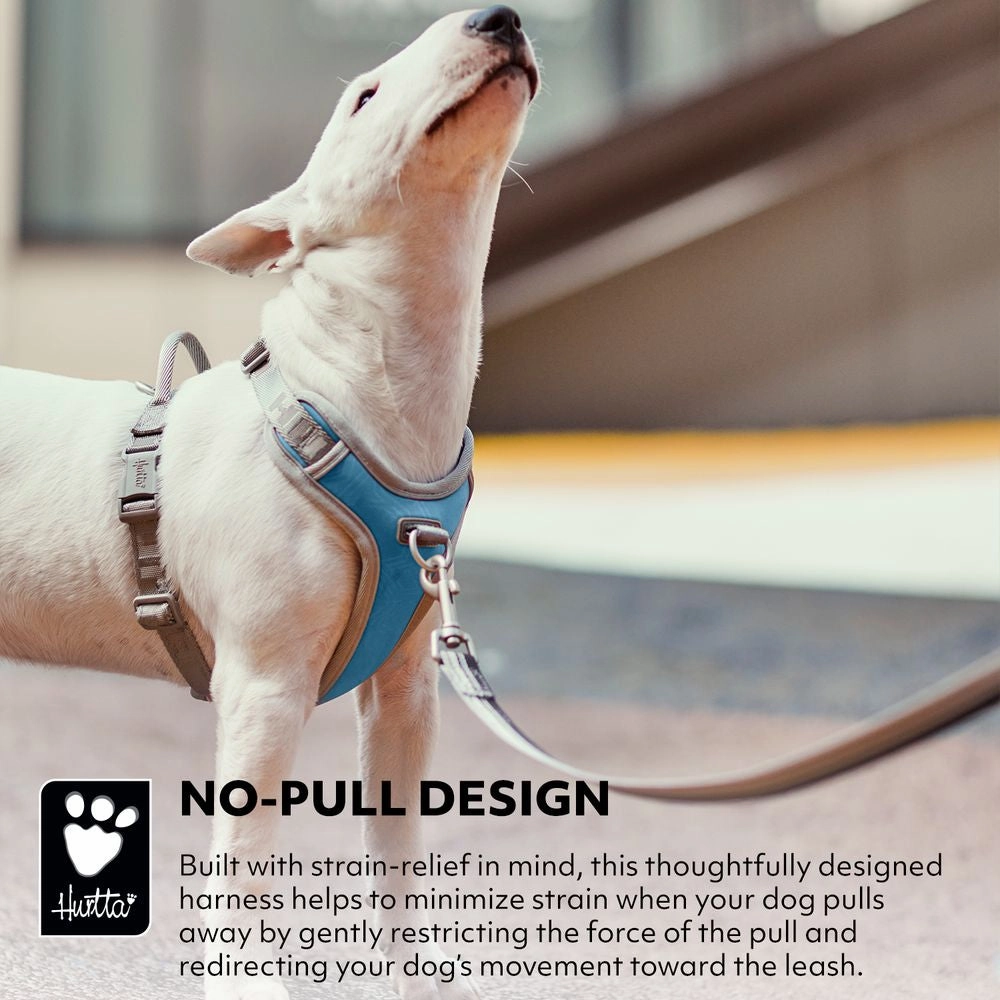 Venture No-Pull Harness | Coral