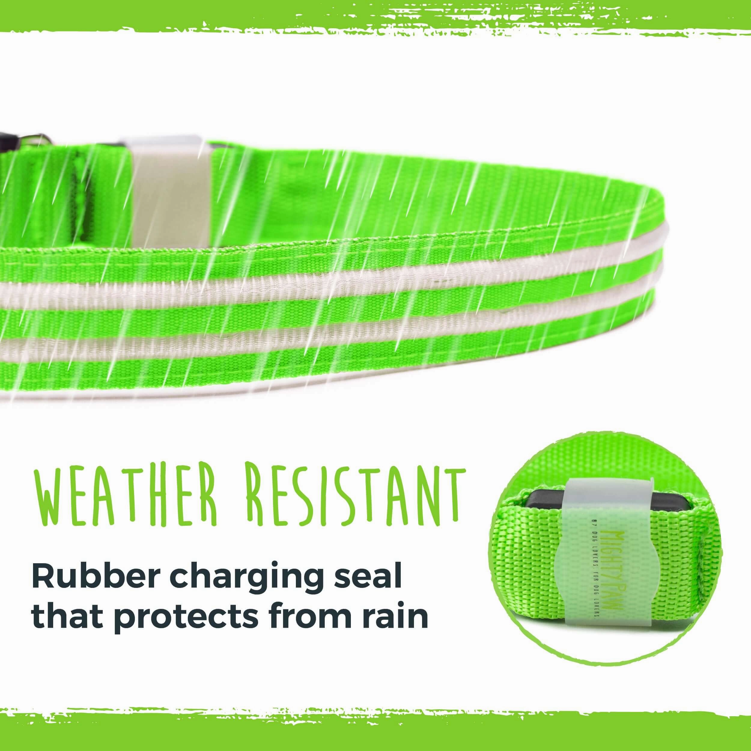 Weather-Resistant LED Collar
