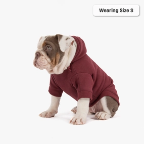 Winter Dog Hoodies - Maroon