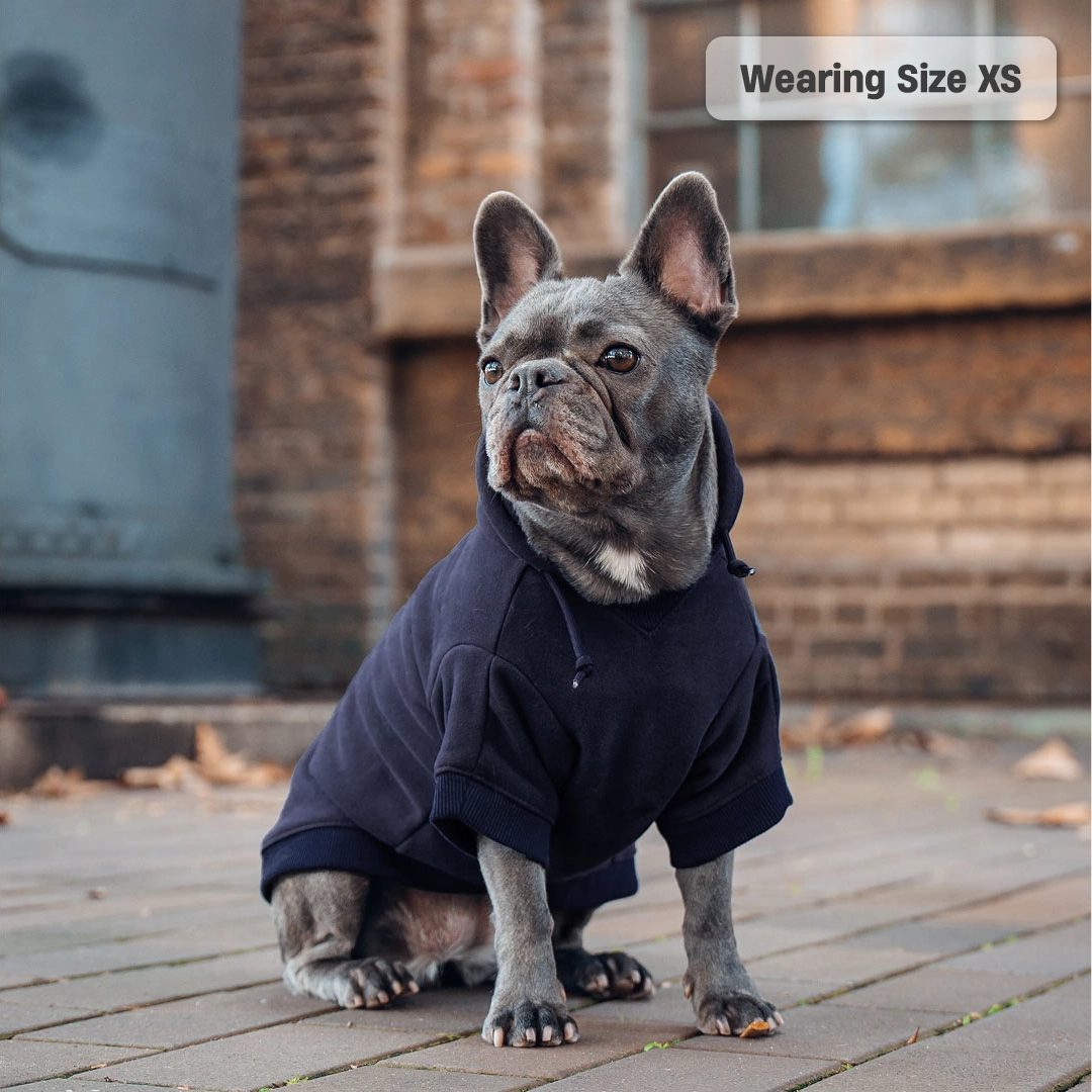 Winter Dog Hoodies - Navy Blue