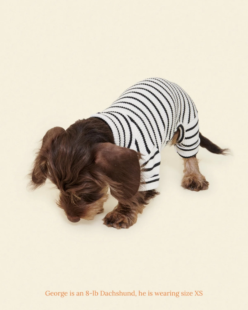 World's Your Oyster Dog Onesie